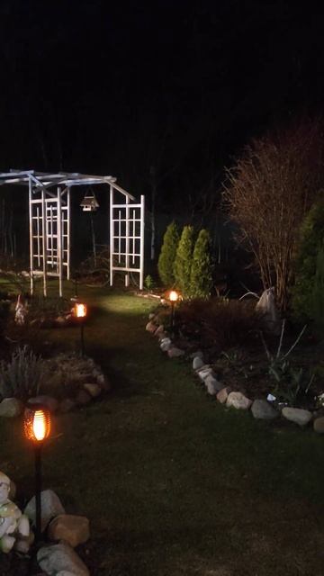 Вечер в саду #цветы #дача #garden #сад смотреть онлайн