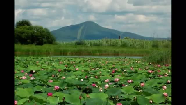 ЧИСТЫЕ ПРУДЫ (АРСЕНЬЕВ) смотреть онлайн