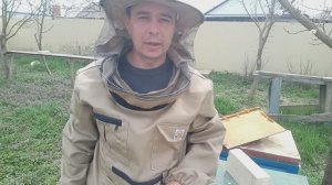 Тепло, пчёлы развиваются