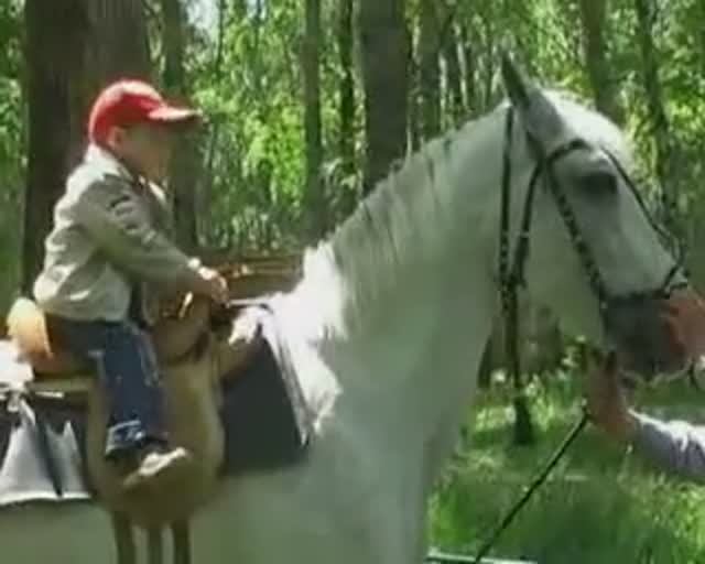 Успешная семья