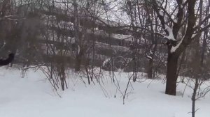 Припять 23.03.2013 г.