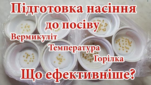 Ранній урожай кабачків без розсади. Міні-тепличка для кабачків. Швидко, просто, ефективно смотреть онлайн