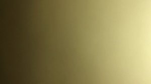 Час зачатья я помню не точно