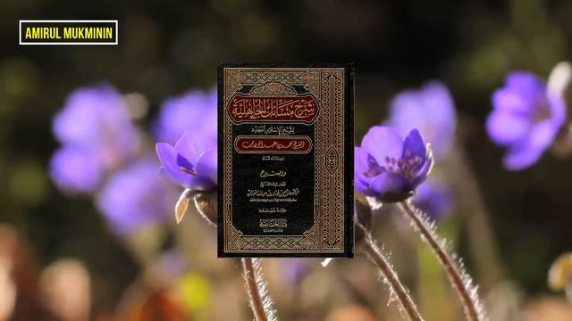 Suami Disandera Jin Selama 4 Tahun_Keputusan Khalifah Umar Kepada Istrinya Sungguh Di Luar Dugaan смотреть онлайн