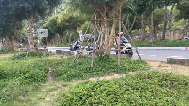 Поездка на Son Tra Da Nang Vietnam 5 апреля 2024 #sontra #vietnam #soundtrack