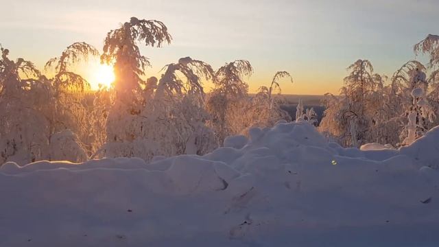 20190208 160412 x264 смотреть онлайн