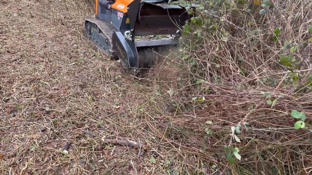 Remote Control ICut4.50 With R-Works Scrub Flail Head.