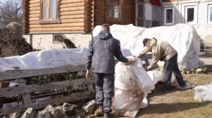 Укрытие роз - весна 2023г.
