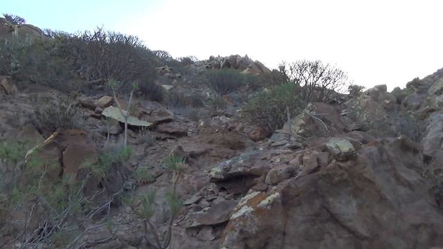 Тенерифе  Лос Кристианос  Монтанья де Гуаса.