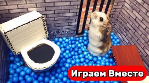 Лабиринт для Хомяка ! Вместе с Умным Хомяком проходим СУПЕР СЛОЖНУЮ ПОЛОСУ ПРЕПЯТСВИЙ 🐹