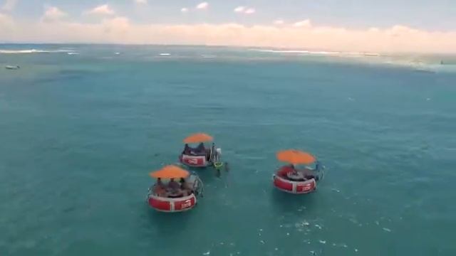 Nemo's grill boat saint anne смотреть онлайн