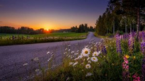 Наташка (песня из 70-х)