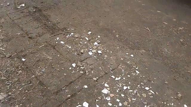 20160401 103532 смотреть онлайн