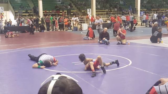 Colorado All State Youth Wrestling Tournament смотреть онлайн
