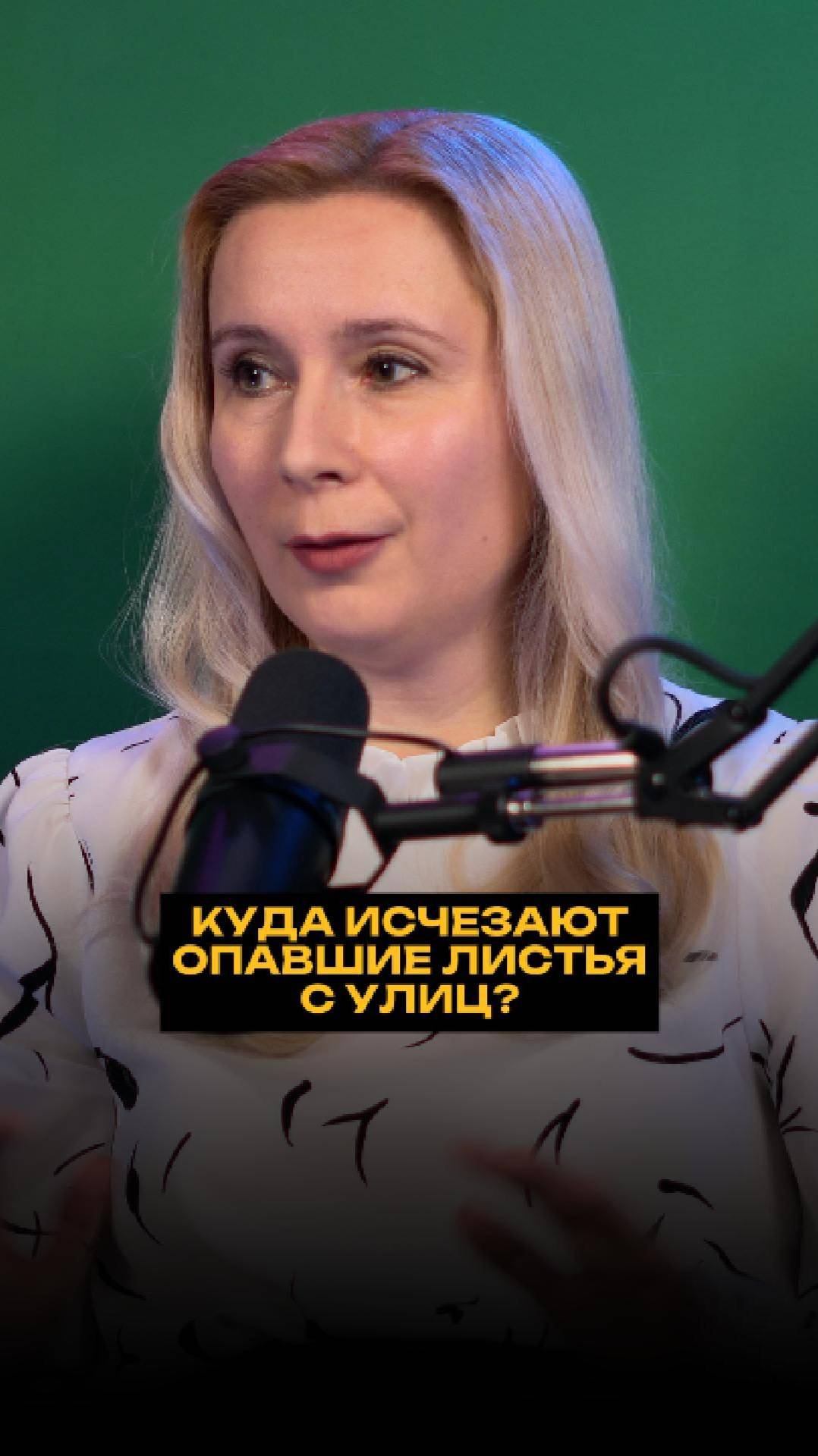 Куда исчезают опавшие листья с улиц? смотреть онлайн