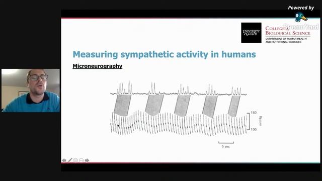 Controle diferencial da atividade simpática durante o exercício em humanos смотреть онлайн