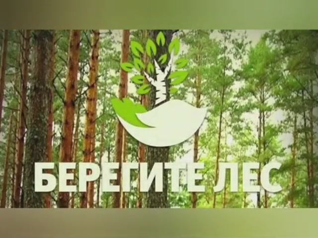 Берегите лес