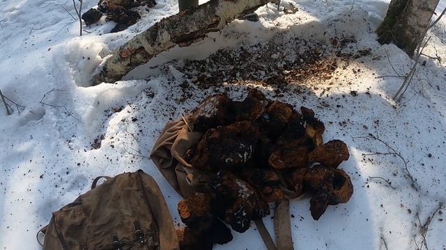 КАК И НА ЧЕМ МОЖНО ЗАРАБОТАТЬ В ДЕРЕВНЕ. смотреть онлайн