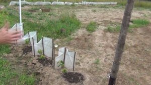 2 серия. Подмосковное Средиземноморье. В гостях у Димы