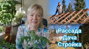 РАССАДА Подкормка.Листья желтеют - Не надо так делать ДАЧНЫЕ РАБОТЫ. Стройка