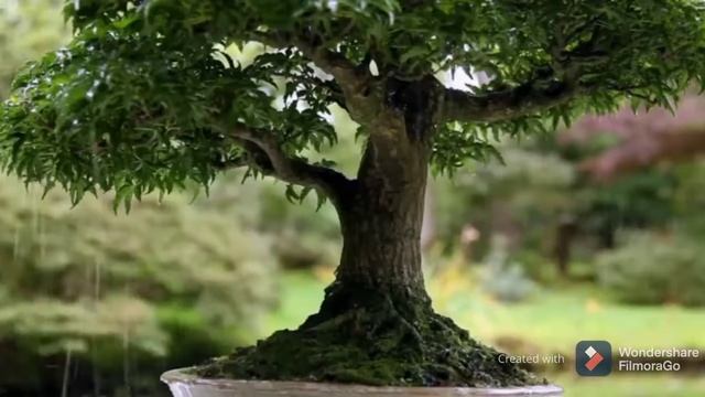 Stop motion Animation || with Wonder Filmora смотреть онлайн