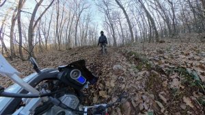 Иногда бывает и такое.