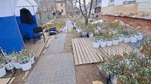 Заказы готовы к выдаче по адресу Нижний Новгород улица Страховая 24