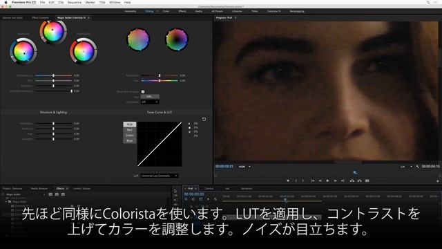 Magic Bullet Denoiser III Tutorial (日本語字幕) смотреть онлайн