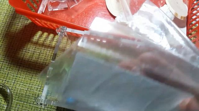 муравьи жнецы продолжение .Муравьи подросли. смотреть онлайн