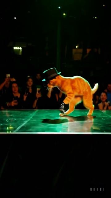Michael Catson: The Ultimate MJ Dance Tribute смотреть онлайн