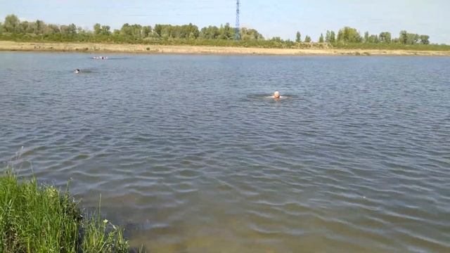 Купаемся . Беспардонные соседи ... смотреть онлайн
