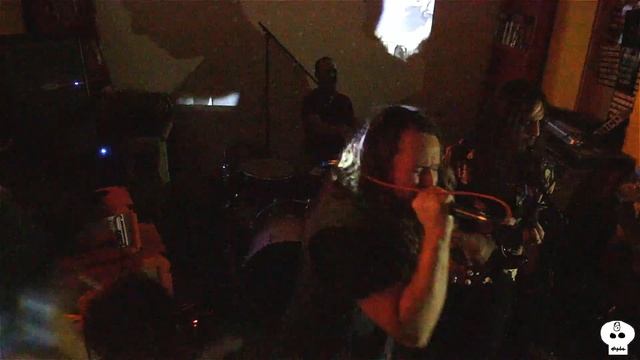 Plastic Pinks - Sleepwalking Macadamia @ Audio Junkie смотреть онлайн