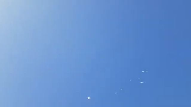 Голуби Казахстана  Ертуган Алакол
