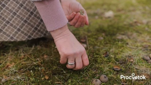 ПРИРОДНЫЙ АНТИБИОТИК, спасет от простуды и кашля, снизит аппетит, а растет прямо под вашими ногами… смотреть онлайн