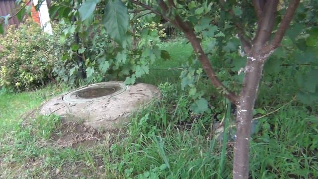 ч.1. Виноград в ПАЛИСАДНИКЕ и НА КРЫЛЬЦЕ. В гостях у Андрея смотреть онлайн