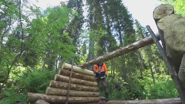 РАБОТА ИДЁТ.СТРОЮ ЛЕСНОЙ ДОМИК В ТАЙГЕ.НАКОНЕЦ-ТО КОНЁК,ПИЛЮ ДОСКИ НА ПОТОЛОК.ПЛЕСКАВИЦА ПО- СЕРБСКИ смотреть онлайн