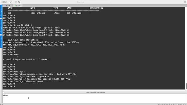 EcoRouter CLI Demo смотреть онлайн