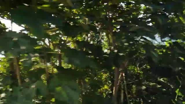 #БАТУМИ_#ТБИЛИСИ /#ОТПУСК ЗАКОНЧИЛСЯ ,/ЕДЕМ ДОМОЙ #ЛЕТО _2020 смотреть онлайн