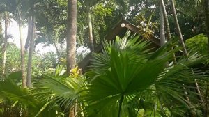 Golden Sand Inn Phuket и бунгало Standart