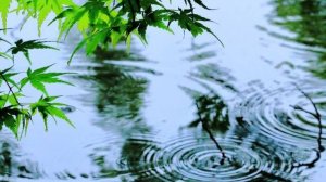 Божья коровка и незабудки Итог. Вода 1 часть