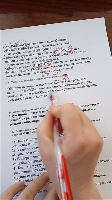 ЕГЭ русский задание 15