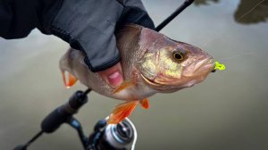 СДЕЛАЛ РЫБЕ АТАТА 😉 / РЫБАЛКА НА СПИННИНГ У ПЛОТИНЫ