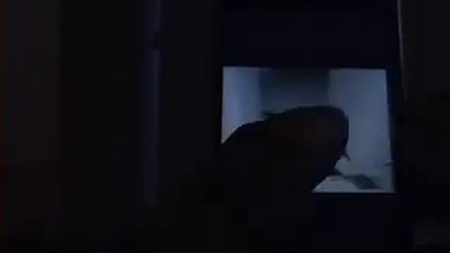 iPhone recensione italiana - Camera e Photos смотреть онлайн