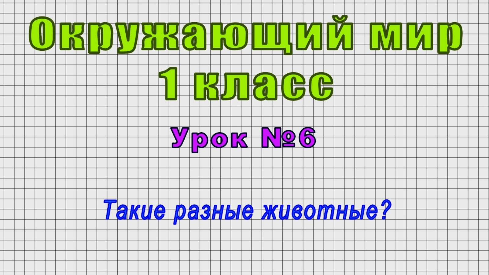 Окружающий мир 1 класс (Урок№6 - Такие разные животные?) смотреть онлайн
