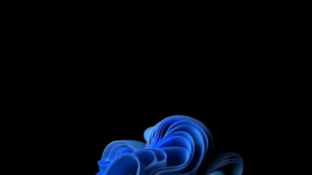 Живые системные обои Windows 11 смотреть онлайн