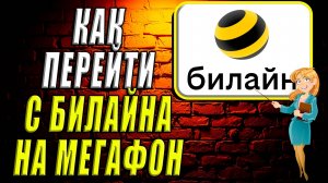 Как перейти с билайна на мегафон
