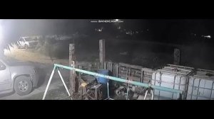 Собака превратилась в человека на камеру. Реальный оборотень или дефект съемки