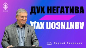 Дух негатива и позитива  | Сергей Гаврилов