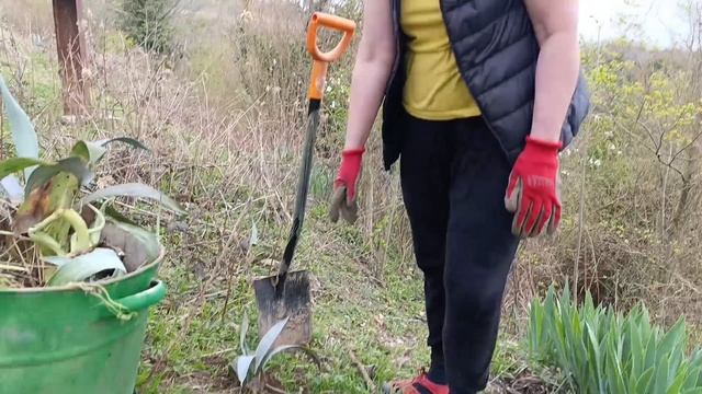 Парнаут, весенние сельхозработы, посадка голубой агавы смотреть онлайн