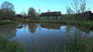 📹 БРОСИЛ ВСЕ , УЕХАЛ в ЛЕС, ЖИВУ ОДИН. ЕДА ПОД НОГАМИ, ПЕРЕХОЖУ на ПОДНОЖНЫЙ КОРМ. №252 → 👤